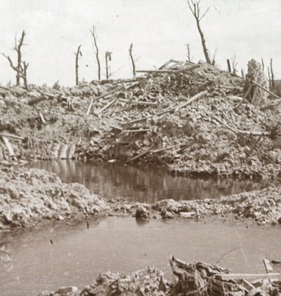 Banks of the River Yser, Diksmuide, Belgium, c1914-c1918 by Unbekannt