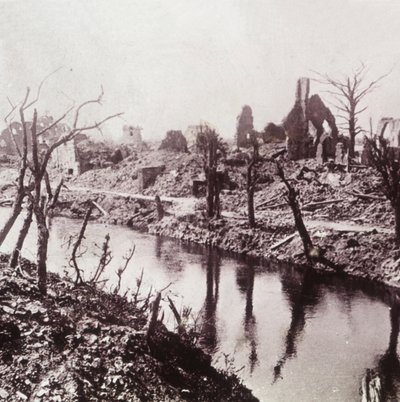 Banks of the Yser, Belgium by Unbekannt