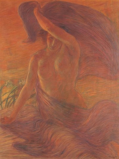 Bare-Breasted Woman Wearing a Veil as a Dress by Unbekannt