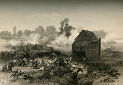 Battle of Long Island, 1877 by Unbekannt