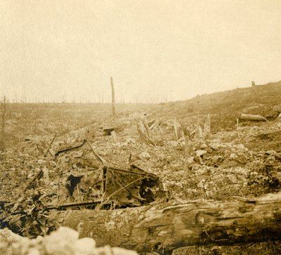 Battlefield, Bezonvaux, Verdun, Northern France by Unbekannt