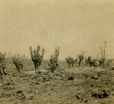 Battlefield, Maurepas, Northern France, c. 1914-1918 by Unbekannt