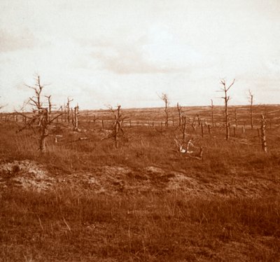 Battlefield, Tahure, Northern France by Unbekannt