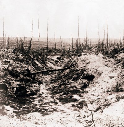 Battlefield, c. 1914-1918 by Unbekannt