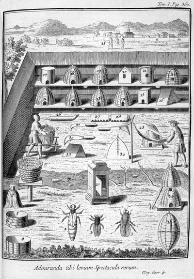 Beekeeping by Unbekannt