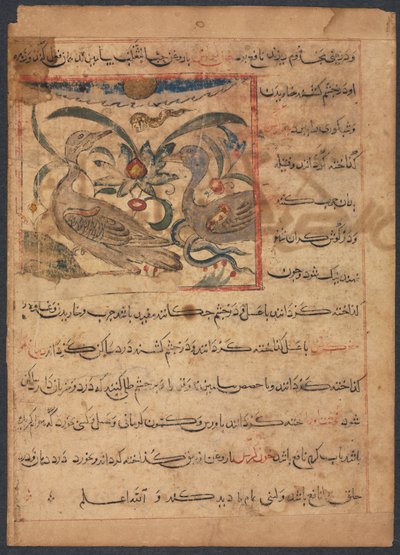 Benefits of the Parts of Vultures...verso by Unbekannt