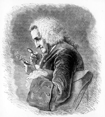 Bernard de Jussieu, 18th century French botanist, 1880 by Unbekannt
