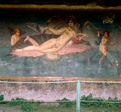 Birth of Venus by Unbekannt