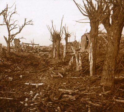 Blasted Landscape, Belloy-en-Santerre, Northern France, c1914-c1918 by Unbekannt