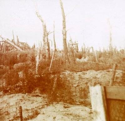 Blasted Wood, Nieuwpoort, Flanders, Belgium, c. 1914-1918 by Unbekannt