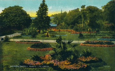 Botanical Gardens, Regents Park, London by Unbekannt