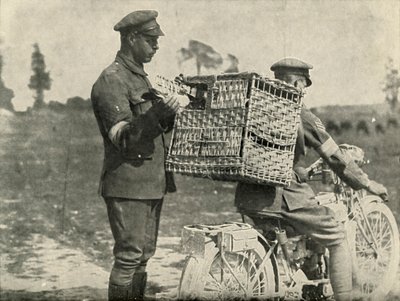 British Army Carrier Pigeons in France by Unbekannt