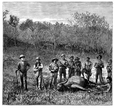Buffalo hunters in the Transvaal, South Africa by Unbekannt