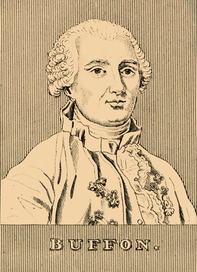 Buffon, 1830 by Unbekannt