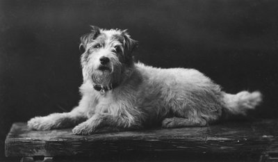 Caesar, King Edward