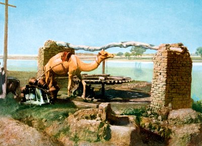 Camel and Shaduf, Luxor, Egypt, 20th Century by Unbekannt