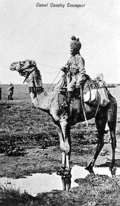 Camel Cavalry Transport, India by Unbekannt