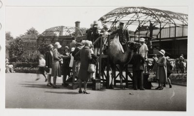 Camel ride, c 1930 by Unbekannt