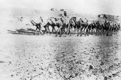Camel Train, Mosul, Mesopotamia by Unbekannt