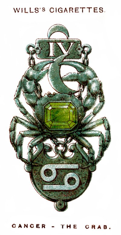 Cancer, The Crab by Unbekannt