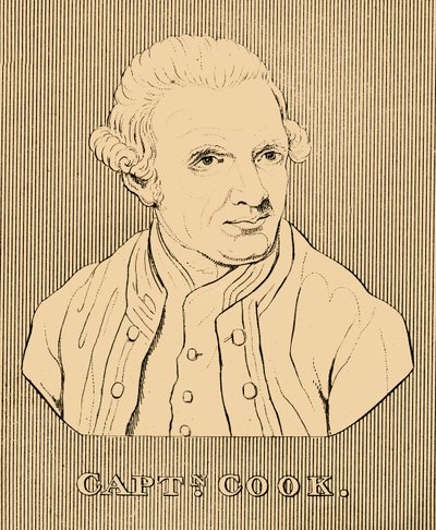 Captain Cook by Unbekannt