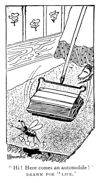 Carpet Sweeper, c1900s by Unbekannt