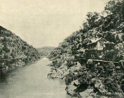 Cataract Gorge, from the Bridge, Launceston by Unbekannt