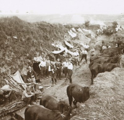 Cavalry, c1914-c1918 by Unbekannt