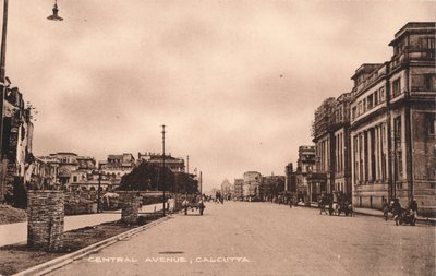 Central Avenue, Calcutta, c1900 by Unbekannt