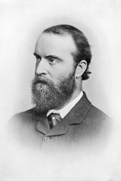 Charles Stuart Parnell, 19th Century Irish Politician by Unbekannt