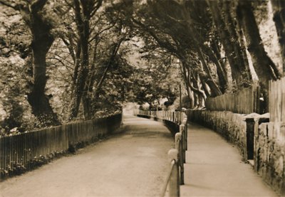 Chine Avenue, Shanklin, I.W. by Unbekannt