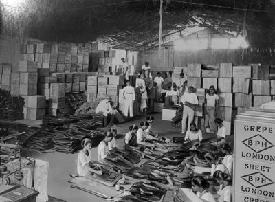Coconut production, India, 20th century by Unbekannt
