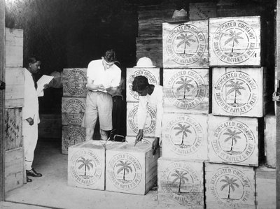 Coconut Production, India, 20th Century by Unbekannt