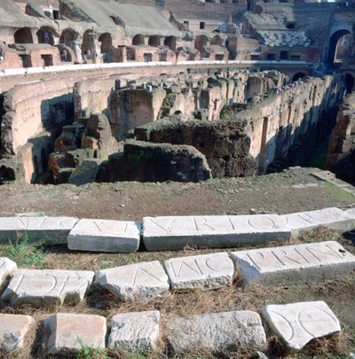 Colosseum, Rome by Unbekannt