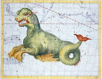 Constellation of Cetus the Whale by Unbekannt