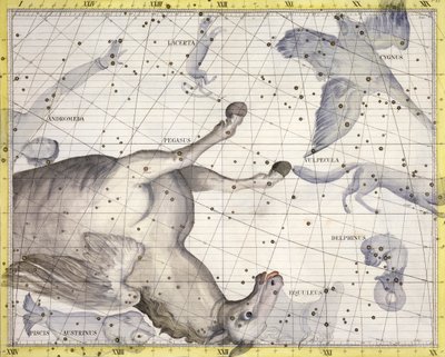 Constellation of Pegasus, 1729 by Unbekannt