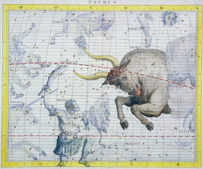 Constellation of Taurus by Unbekannt