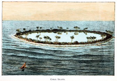 Coral Reef Surrounding a Lagoon by Unbekannt