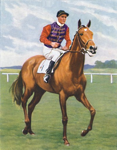 Cosmopolitan, Jockey: J. Crouch by Unbekannt