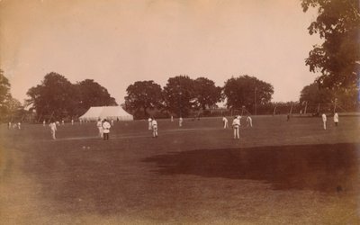 Cricket match, late 19th-early 20th century by Unbekannt