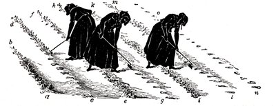 Crop Rotation: Women Thinning Turnips, 1855 by Unbekannt
