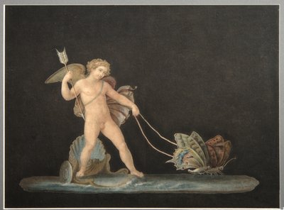 Cupid with Butterflies by Unbekannt