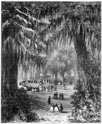 Cypress Grove at Chapultepec, Mexico City, 1877 by Unbekannt