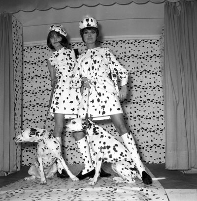 Dalmatian Mode by Unbekannt