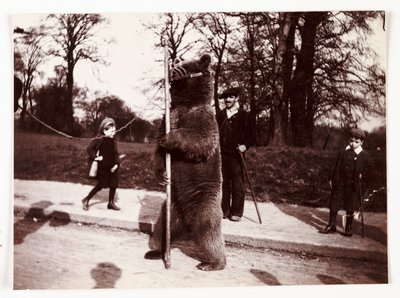 Dancing bear, c 1905 by Unbekannt