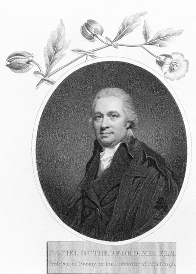 Daniel Rutherford by Unbekannt