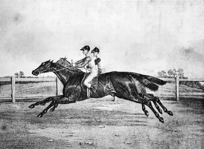 Dead-Heat between Lanercost and Beeswing, 1835-1850 by Unbekannt