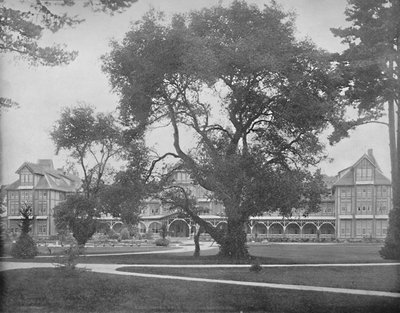 Del Monte, Monterey, California, c1897 by Unbekannt
