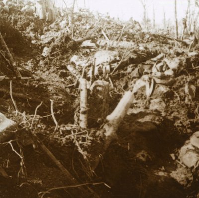 Destroyed Shelter, Les Éparges, Northern France, 1915 by Unbekannt