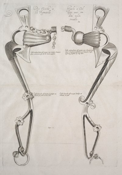 Diagram for Horses Bit by Unbekannt